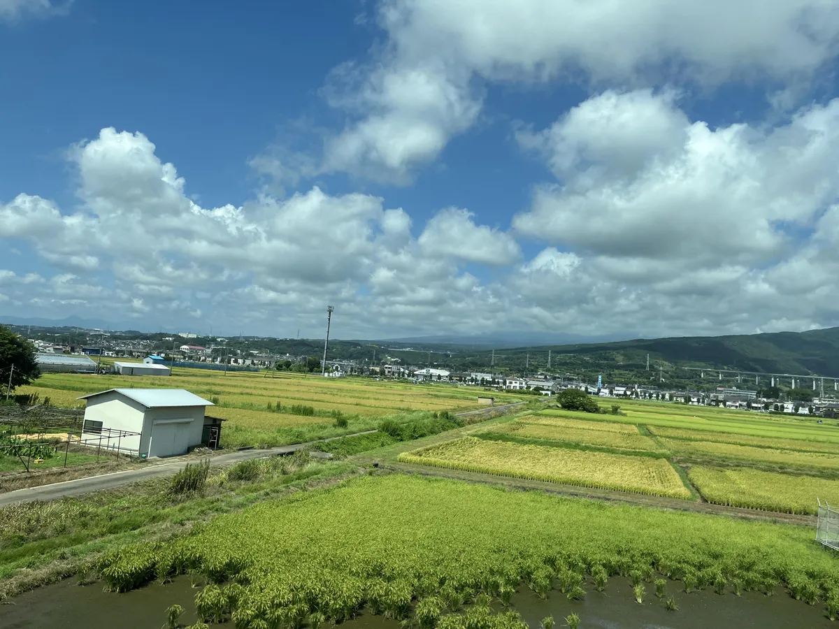 Finally caught the Shinkansen from Toyko to Okaka, was told to sit on the right side of the train to see Mount Fuji. The clouds said otherwise.