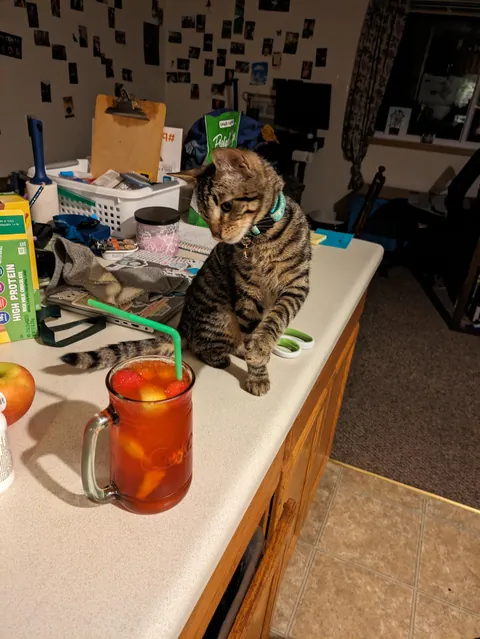 My bubba passed away suddenly.