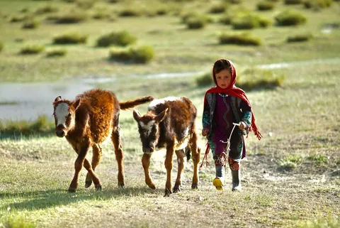 Pamirs of the Wakhan Corridor in Afghanistan. I walked alone across the border bridge at Ishkashim, hitched a ride then hired a donkey and walked up the valley for a week, then hired a horse and rode into the mountains for three weeks. Best trip ever!