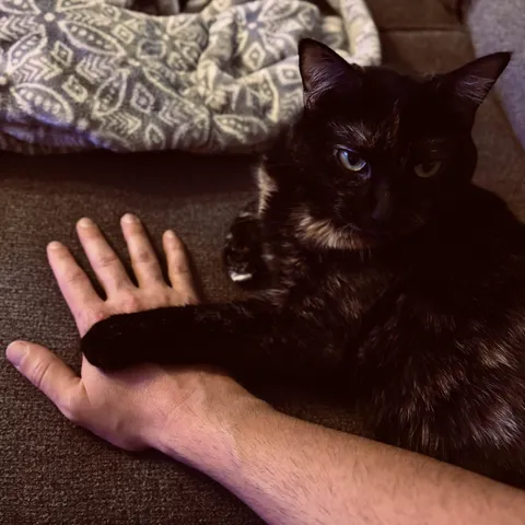 I’ve been informed that I am in for the night.