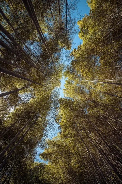 An incredible two weeks in Japan!