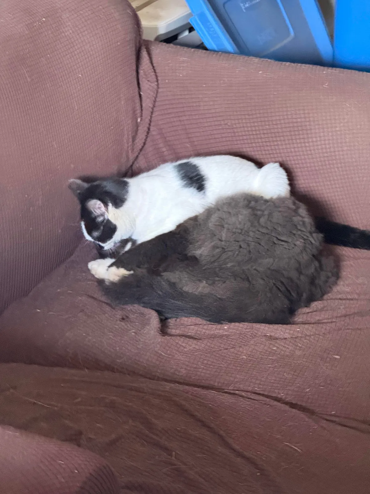 Pazuzu bothering Murphy when he was just trying to rest