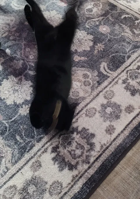 Mini meltdown for scratchies