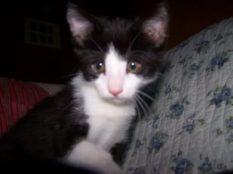 she was my best friend for 16 years…