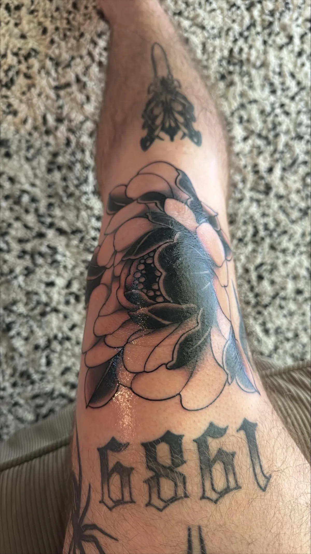 Got my knee blasted today by The Nooj, Tampa FL, Bed of Roses