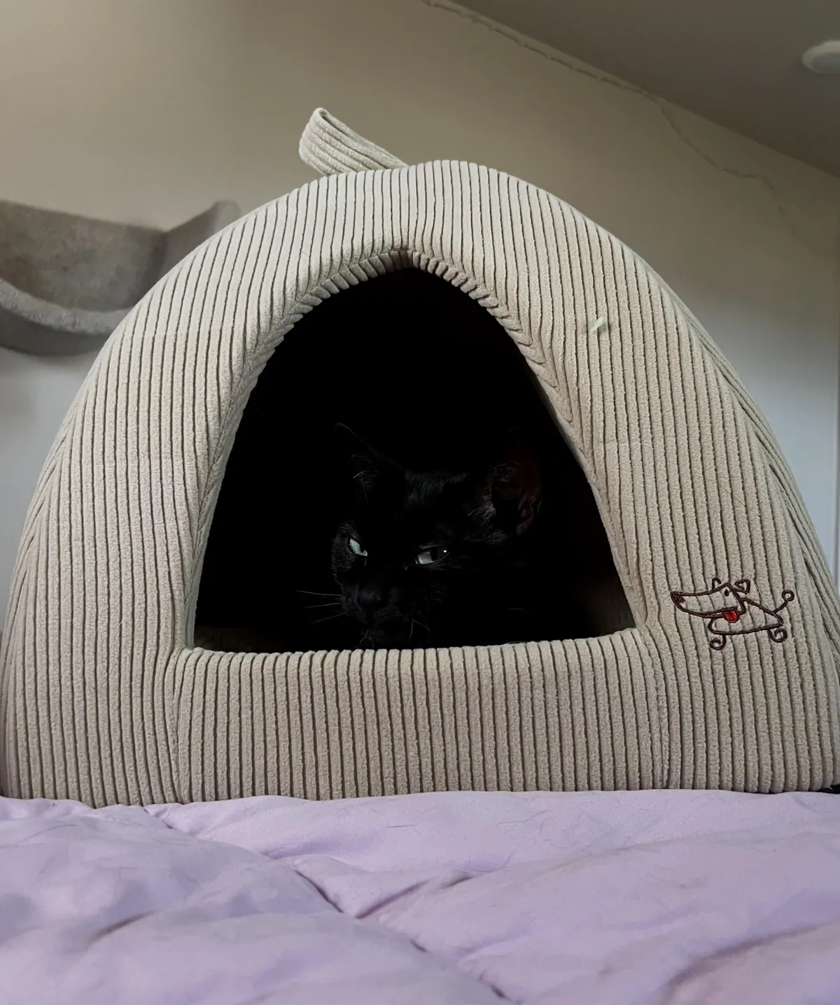 I rudely tried to move the bed while she was sleeping bc I didn't see her in there