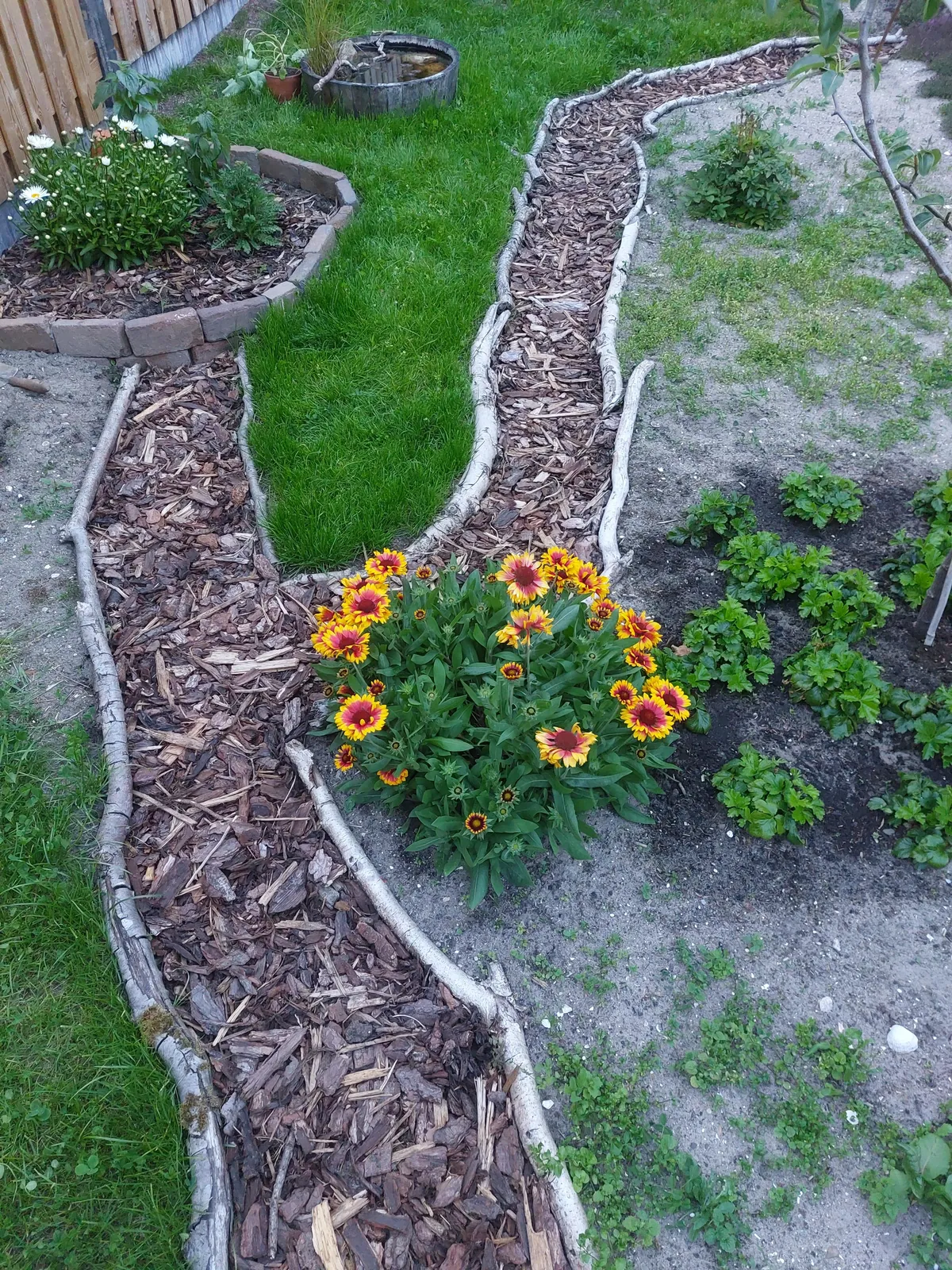 Our garden path transformation! Before &amp; after