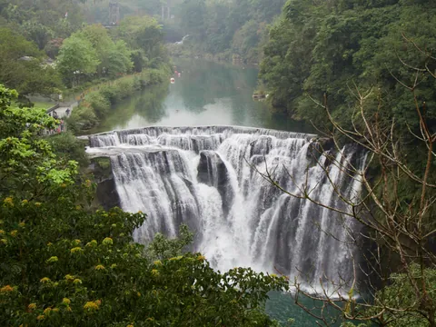 Taiwan - dense beauty