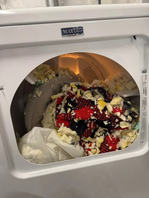 My wife put our dog’s bed in the dryer