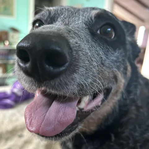 The goodest girl, look at that smile