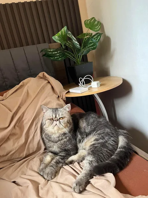 My senior baby will turn 11 next week, he is the sweetest &lt;3 I have him since I was 7, he is my bestfriend!