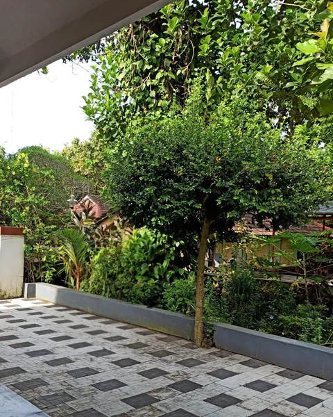 Dad spent almost 8 years transforming a random weed into this. Thought you guys might appreciate the effort.