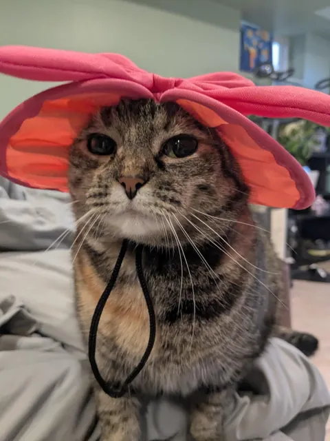 Looking like a distinguished lady in her new sun hat
