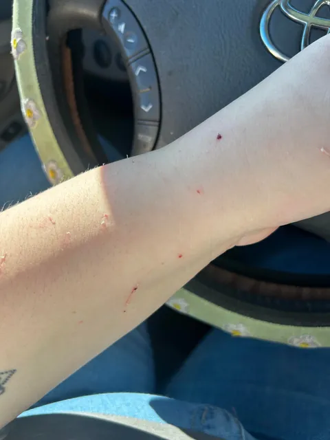 The CDS got me at a Jiffy Lube