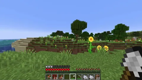 How to rope down in the new caves.