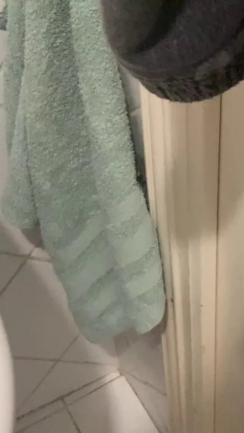 Guess I won’t be drying myself. Just got out the shower