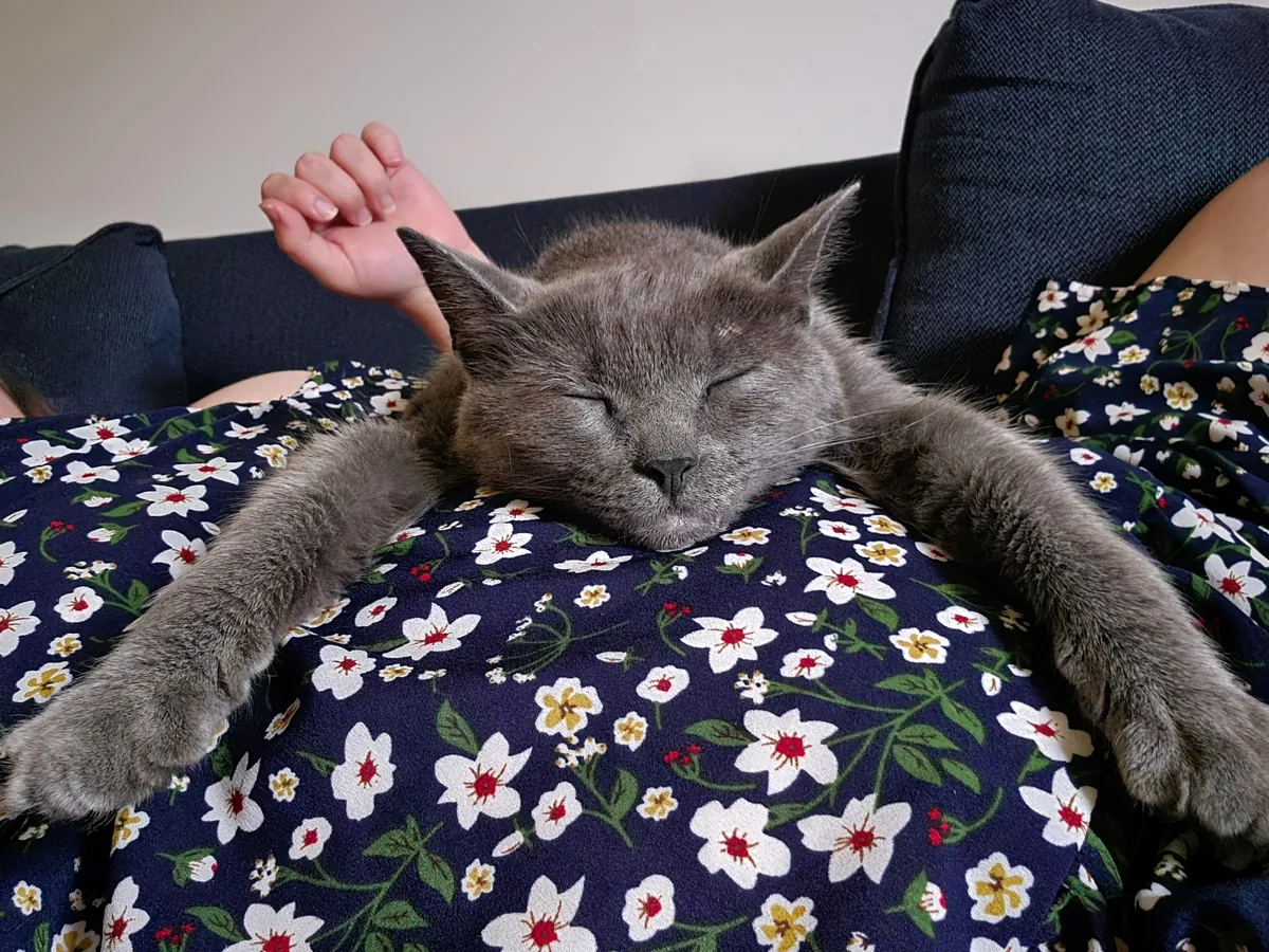 People are the worst