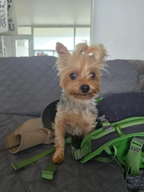 Peaches says good morning