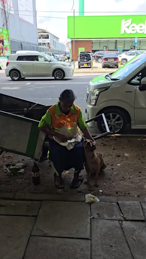 Sharing her lunch with a stray dog she calls 'Son' [English translation in comments]