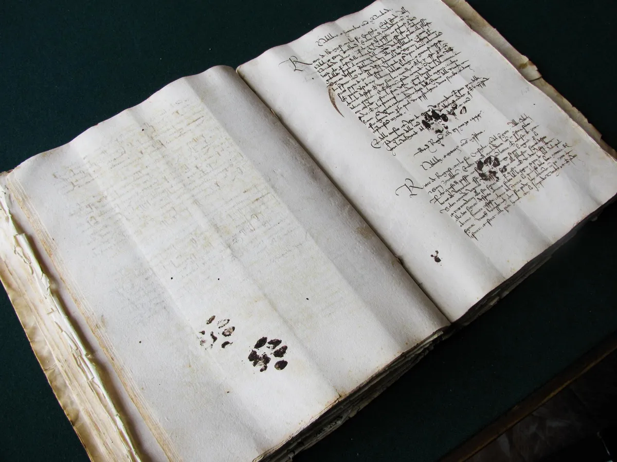 15th century cat leaves paw prints on owner's manuscript