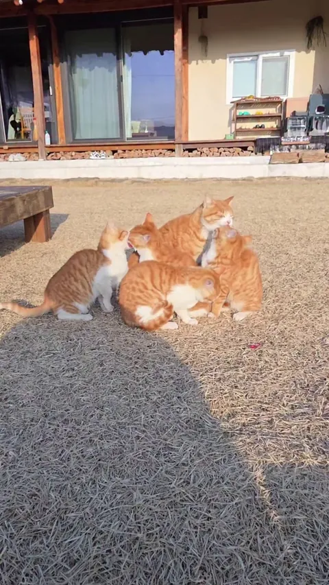 They're searching for the 🅱️raincell