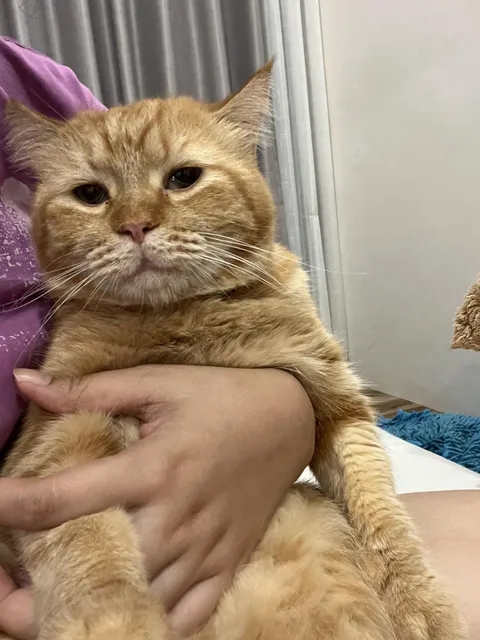 This is my cousin's cat who always has that face. 🤣