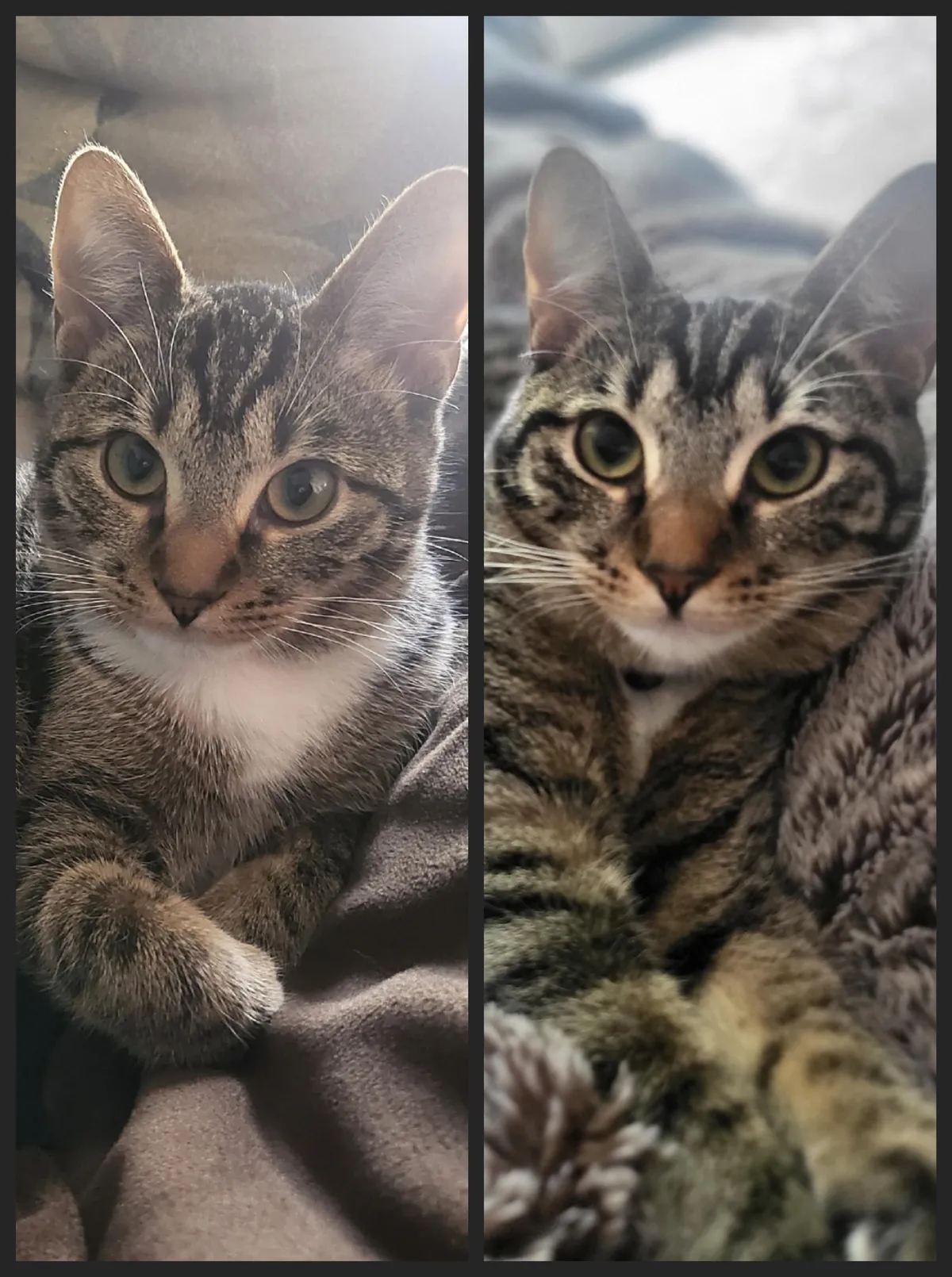 3 months of my sweet baby!