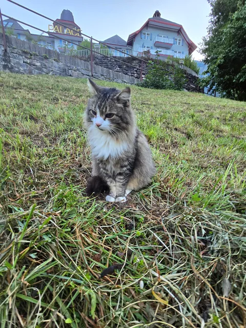 Some of my favorites from 2 weeks in Switzerland