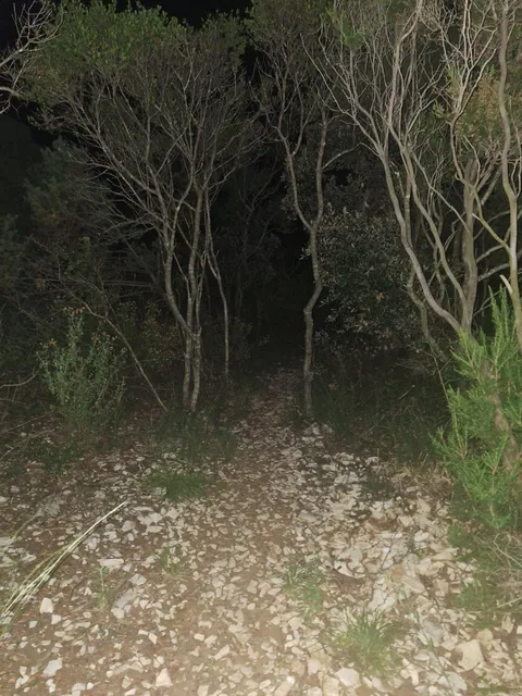 This is a path to the toilet in my family's vacation home