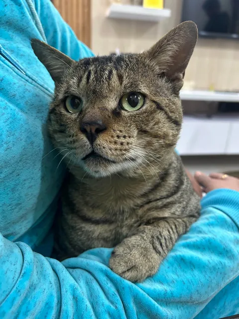 My uncle said he’s ugly 