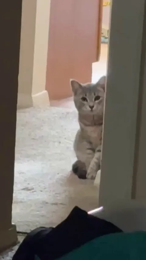 Caught her creeping and she waved at me