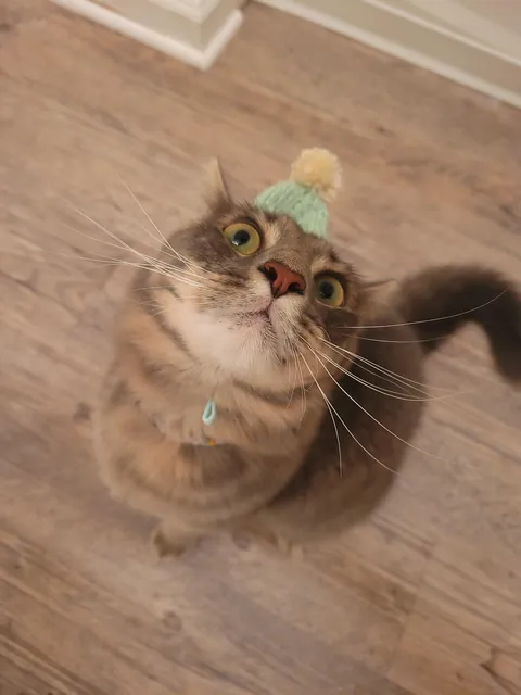 "You won't want to deal with it"