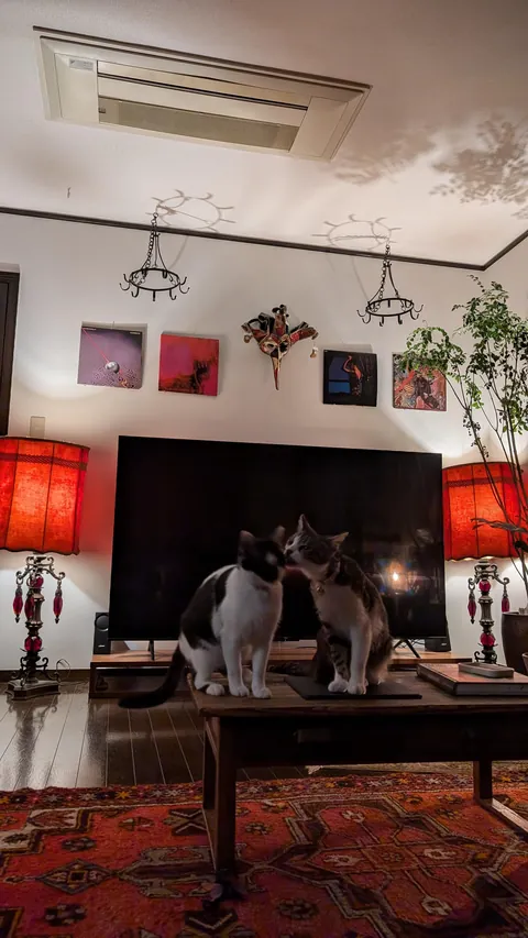 My first place after moving out of my parents. I'm so happy with it :)