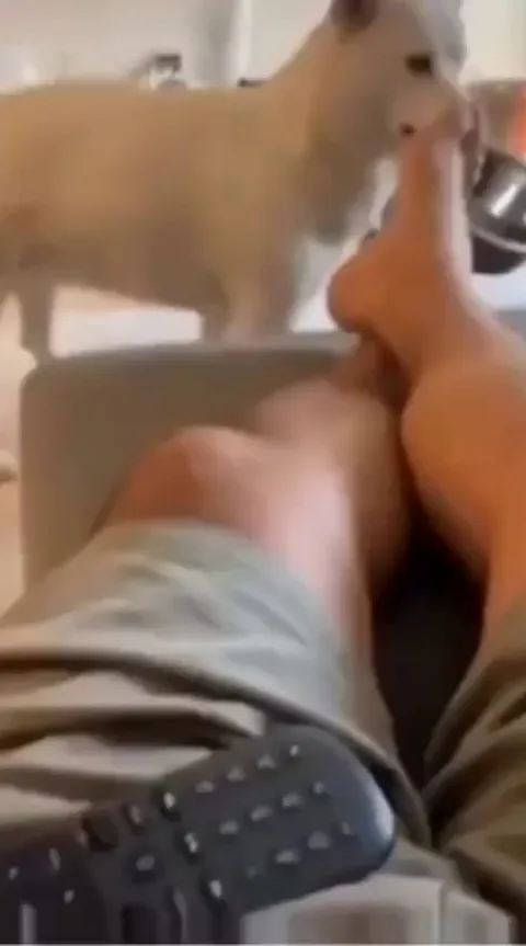 "I brought some snacks, hope you guys don't mind."