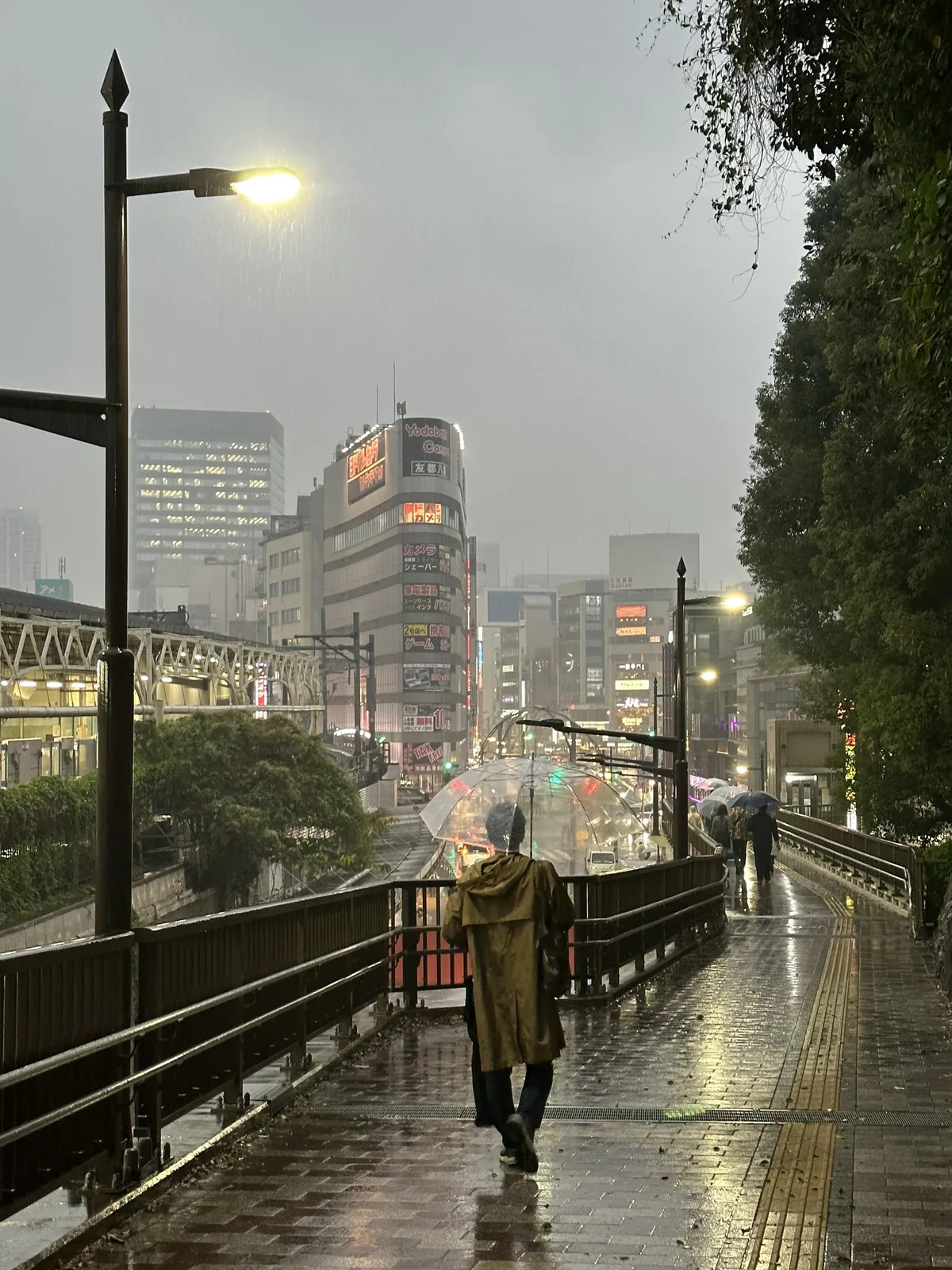 ITAP of a rainy November day in Tokyo 