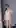 Swipe to reveal this tiny Japanese college slut