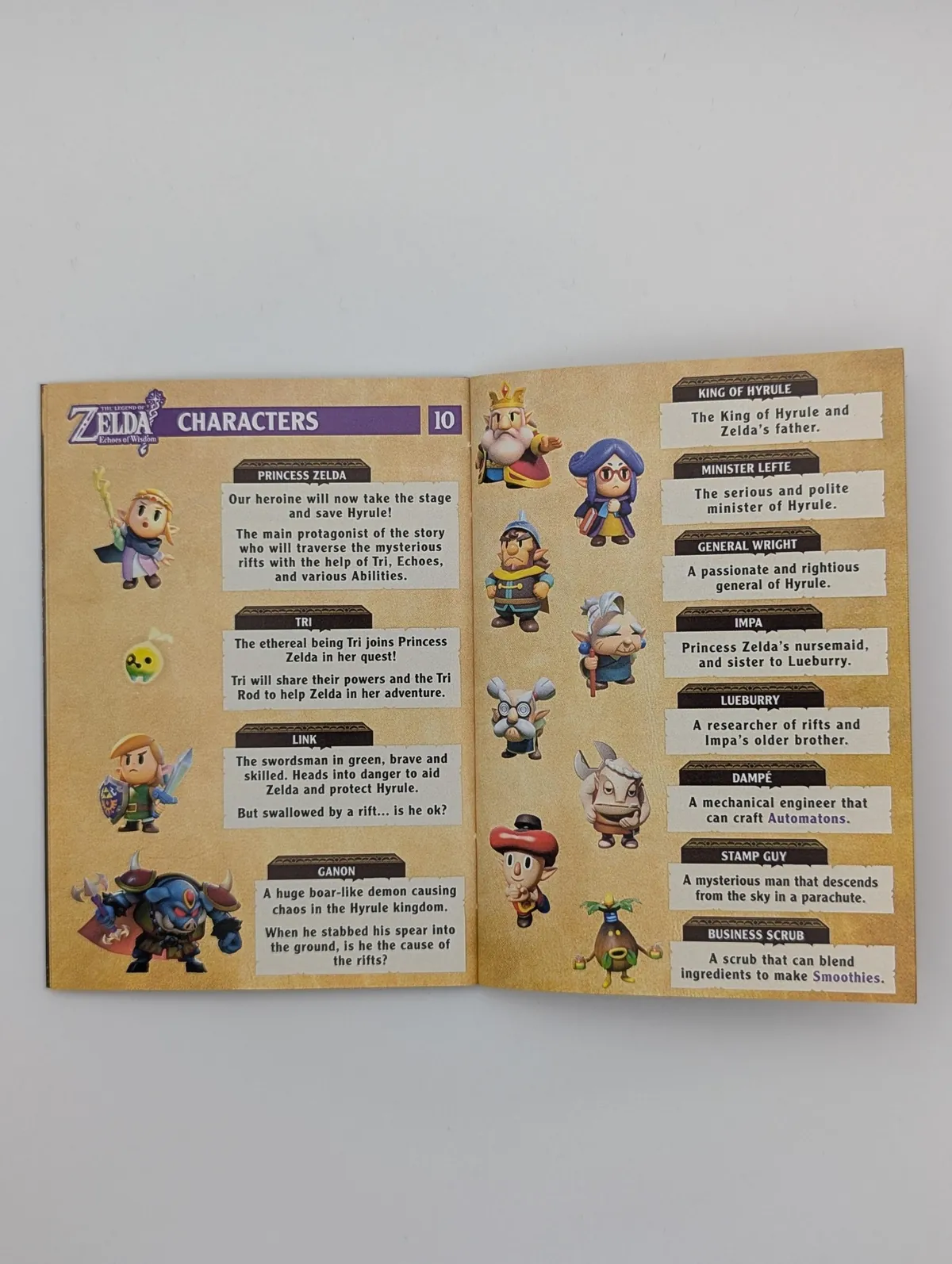 Some custom manuals, Mario Kart and Echoes of Wisdom 