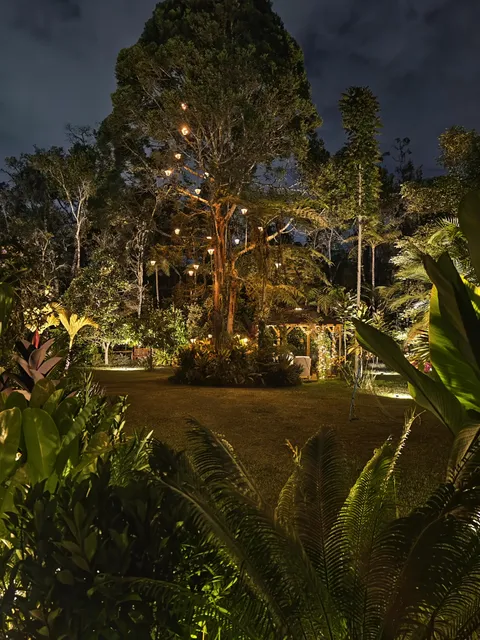 Garden finally coming along. Years of work