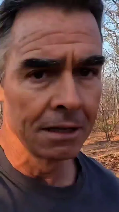 Though African wild dogs have a fearsome reputation they very rarely attack humans, and then usually only if provoked or they feel threatened