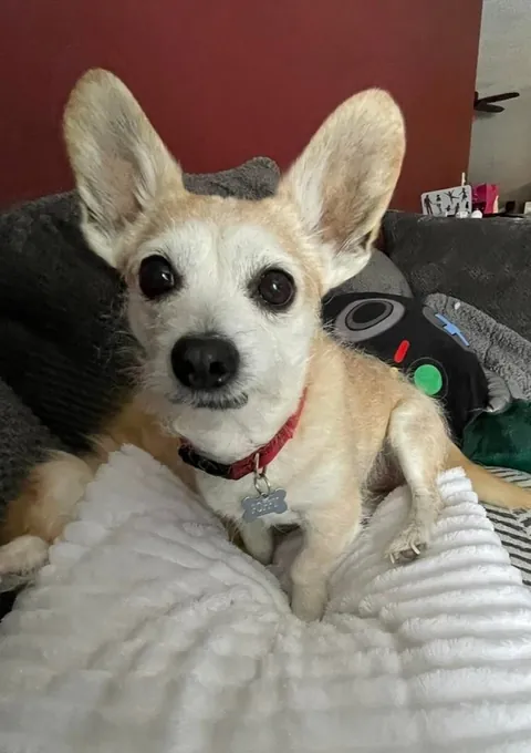 I wouldn’t be here if it wasn’t for him