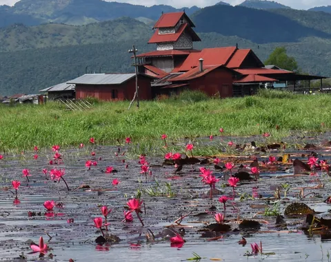 Recent trip to Myanmar