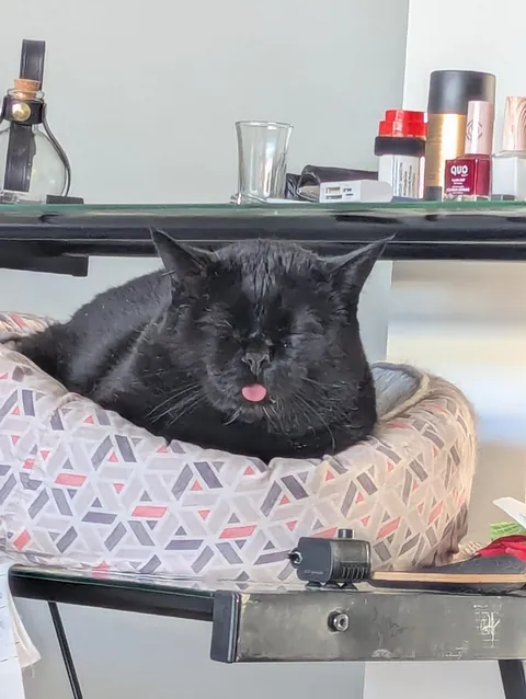 What is wrong with my car?