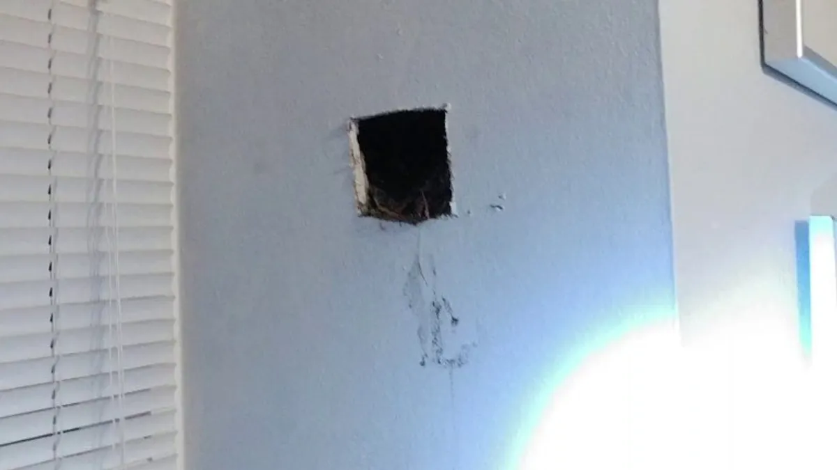 3 baby trash pandas extracted from a wall in mom's condo...