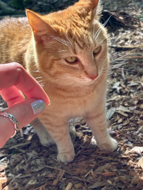 Meet Georgie everyone- A trailhead ambassador!