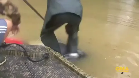 Man Saves Woman and her Dog Seconds Before Car Sinks