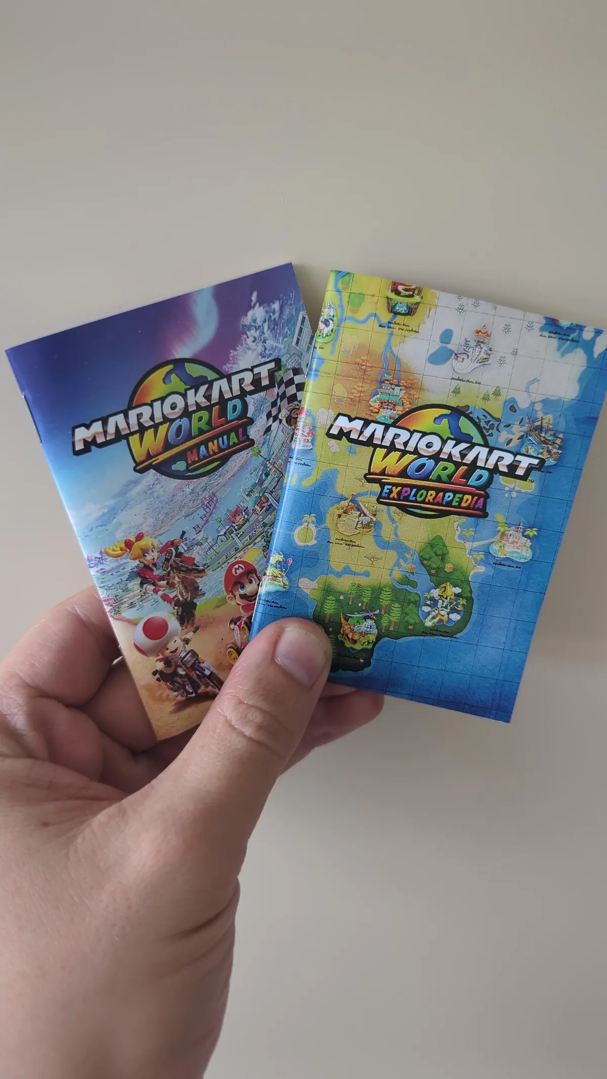 Custom Manual/Booklet for Mario Kart World