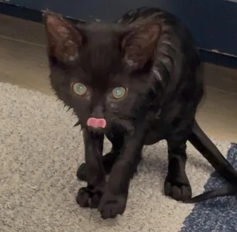 Bobbi has never in her 7 months of life let her hatred of water get in the way of her clinginess.