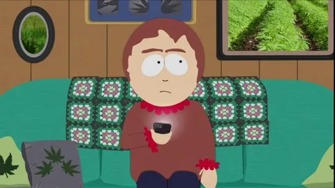 So what do we think of the new South Park episode?