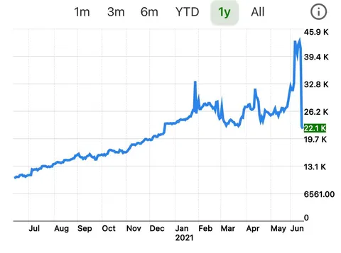 Can someone spot where I found out about r/wallstreetbets?
