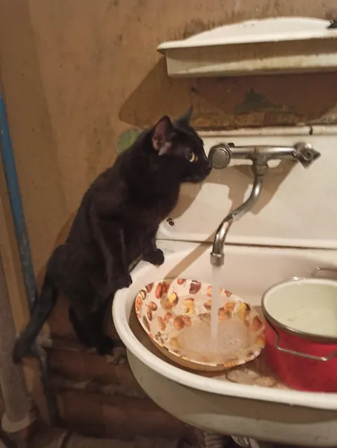 Is it because we named him Crisis?